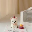 댕고깐 | [입체케이크 강아지케이크] 강아지생일 강아지주문제작케이크 고양이케이크