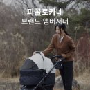 피콜로카네 이미지