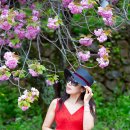 운신초등학교 이미지