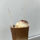 본노브