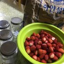 벌말농원 | 벌말농원산 딸기로 딸기청 만들기