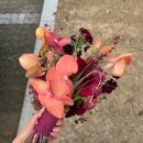 고혹적인 레드 버건디 촬영부케의 오브제 제작 후기🌹