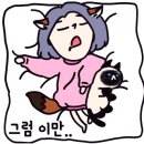헤어샵끌레오