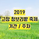 김떡순먹고갈래 | 광주근교드라이브 2019 고창청보리밭축제 상세후기(기간,주차)