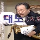 혜성식당 이미지