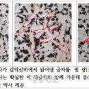 감악산비 이미지
