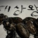 더탐사 노동조합 | 목포 갑오징어 낚시 11월 도보권 워킹 포인트 탐사