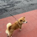 영천농업협동조합(화남지점) | 2026