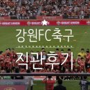 강원FC VC 제주유나이티드FC 직관 경기 후기!!