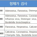 이솜 동물병원 이미지