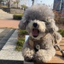 구세군동대구상담센터 | 렉서스 ES 4월 할인 소닉티타늄 출고후기 대구