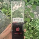 앵지밭골 | 경남 마산 수국카페 &#34;앵지밭골 그집&#34; 다녀왔어요