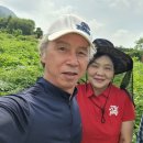 고바우농장 이미지