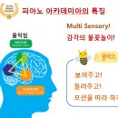 새솔셀라음악학원 이미지