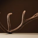 역곡휘문한의원 이미지