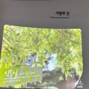 영인산산림박물관 | [아산 아이와 가볼만한곳] 영인산 산림박물관 후기! 4월 식목일·지구의 날 맞춤형 교육 나들이 🌳✨