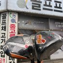 핑시화 이미지