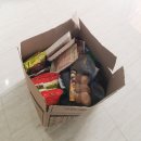 GR(부산광역시 기장군)-[고무로]-상-25 | 부산 기장 펜션 추천! 전객실 오션뷰 기장 오투펜션 방문후기