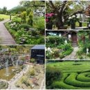 화순골망태 이미지