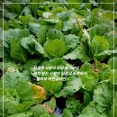 맥가이버 이미지