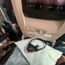 호치민 | 베트남항공 타고 발리 가기✈️ 인천→호치민→발리 후기｜기내식, 특별식, 레이오버, 헤드폰 쇼핑(Px8 S2)