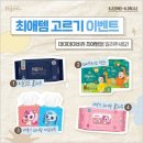 데이데이 이미지