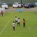 흥무초등학교 이미지