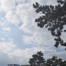 구룡포중학교 이미지