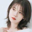 헤어트렌드 네이버블로그