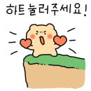 견생의하루 펫살롱 일산본점 이미지