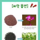 유채약국 이미지