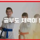 라임태권도장 이미지