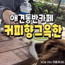 커피향그윽한 | 울산 울주 애견동반카페 커피향그윽한 내돈내산 후기