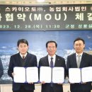 스카이 오토 이미지