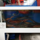 영어조합법인 바다의 아침 이미지