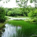 금강석 - 중구 남대문로 22 | 금강석