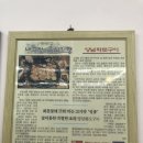 화미가 이미지