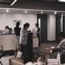 정직한 동물병원 이미지