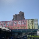 한일농약사 이미지