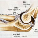 미라온한의원 이미지