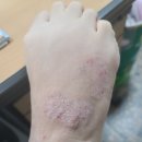 소양약국 이미지