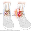 순천백세한의원 이미지