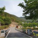 매골 이미지