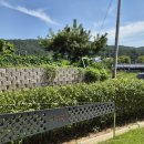 어우렁 | [ ] 서울 근교 대부도 우정여행 가족여행으로 좋은 조용한 단체독채펜션, 스테이어우렁 후기