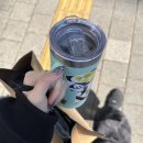 야구 좋아하세요..?