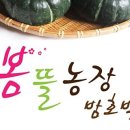 봄뜰에농장 이미지