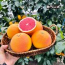 루비커피숍