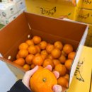 더폴락협동조합 | 천안 목천 식자재마트 후기｜코스트코같은 창고형 식자재마트 천안수퍼마켓협동조합