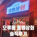 (대전 오류)-홍명상회 홍콩감성 연어회 숙성회 육사시미 내돈내산 솔직후기