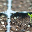 순화농장 이미지